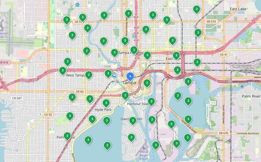 Rodent and Pest Control in Tampa, FL, Google Maps grid after