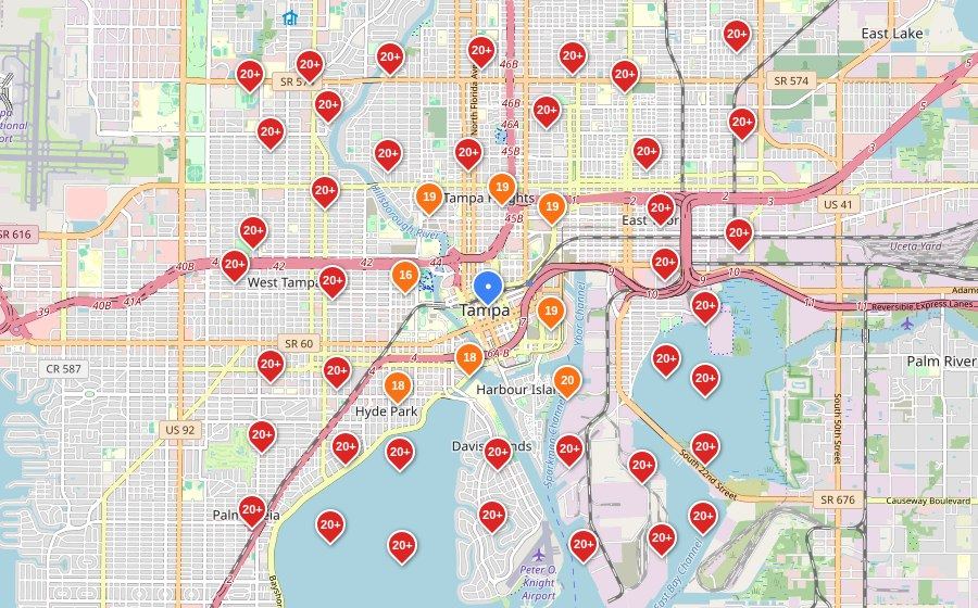 Rodent and Pest Control in Tampa, FL, Google Maps grid before
